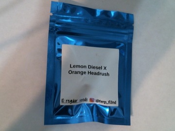 Vente: Terp Fi3nd - Lemon Diesel x Orange Headrush **420 Special**