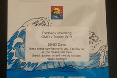 Sell: Redneck Wedding (GMO x Trophy Wife) - Surfr