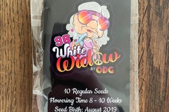 Sell: Old Dutch Genetics - 98 White Widow