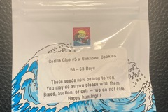 Venta: Gorilla Glue #5 x Unknown Cookies - Surfr Seeds