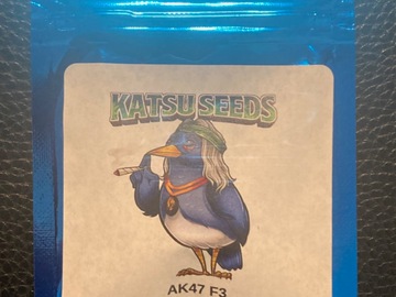 Sell: AK-47 F3 - Katsu Seeds