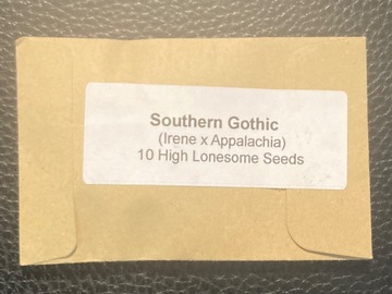 Sell: Southern Gothic (Irene x Appalachia) - High Lonesome Seeds