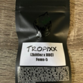 Square One Genetics- Tropixx