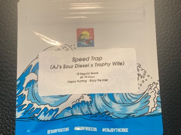 Sell: Speed Trap (AJ Sour Diesel x Trophy Wife) - Surfr