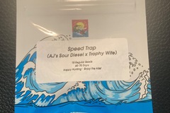 Sell: Speed Trap (AJ Sour Diesel x Trophy Wife) - Surfr
