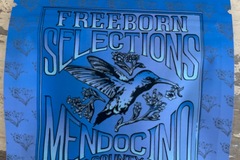 Venta: Freeborn Selections Mendocino County ROYAL JUICY