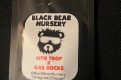 Venta: Black Bear Nursery MTN Trop x Gak Rocks