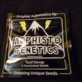 Venta: Mephisto Genetics Toof Decay 5 pack