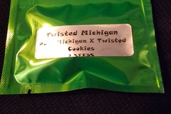 Vente: Twisted Trees Twisted Michigan 2 pack