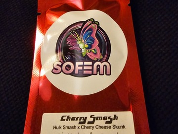 Venta: Sofem Cherry Smash 3 pack