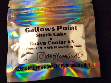Vente: Bloom Seed Co Gallows Point 12 pack