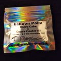 Venta: Bloom Seed Co Gallows Point 12 pack