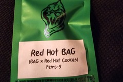 Vente: Robinhood Red Hot BAG  5 pack