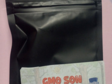 GMO SON (GMO x Wilson) Masonic Seeds