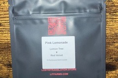 Subastas: (Auction) Pink Lemonade from LIT Farms