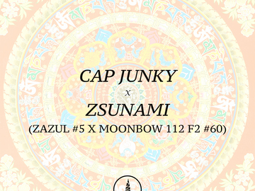 Vente: Cap Junky x Zsunami (Archive)