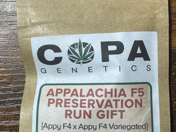 Vente: Copa Appalachia f5 preservation