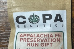 Vente: Copa Appalachia f5 preservation