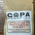 Sell: Copa Appalachia f5 preservation