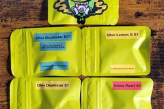 Sell: 4/20 Bundle Deal! 4 packs of very rare genetics for $120