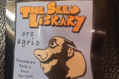 Vente: The Seed Library - Oro Agrio - Columbian Gold x Sour Apricot