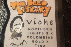 Venta: The Seed Library - Viché - NL5 x Columbian Gold x Tina