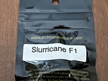 Sell: Slurricane F1 by Archive Seed Bank