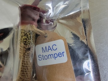 Mac Stomper Sunke Treasure Seeds