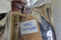 Venta: Mac Stomper Sunke Treasure Seeds