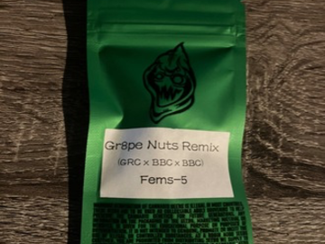 Vente: Robinhood Seeds- Grape Nuts Remix