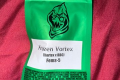Vente: Frozen Vortex  - Robin Hood Seeds