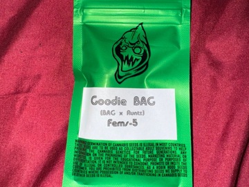 Sell: Goodie Bag  - Robin Hood Seeds