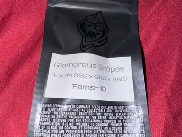 Sell: Glamorous Grapes  - Square One Genetics