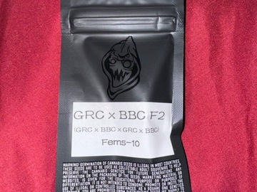 Venta: GRC X BBC F2  - Square One Genetics