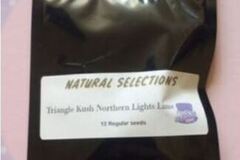 Subastas: *Auction* Triangle Kush Northern Lights Lime (NS) Masonic