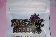 Subastas: *Auction* PuTang Nevil Chem (Natural Selections) - Masonic seeds