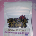 Subastas: *Auction* PuTang Nevil Chem (Natural Selections) - Masonic seeds