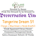 Sell: Tangie Dream S1 10-Pack – Feminized Photoperiod