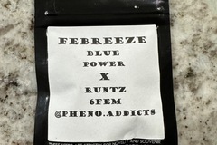 Sell: Febreeze by Pheno Addicts