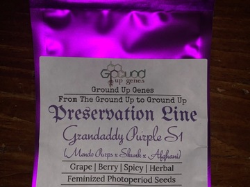 Vente: Grandaddy Purple S1 10-Pack - Feminized Photoperiod
