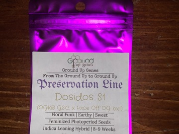 Sell: Dosidos S1 10-Pack - Feminized Photoperiod