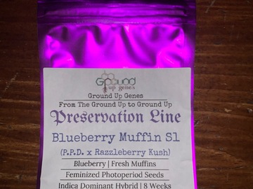 Vente: Blueberry Muffin S1 10-Pack - Feminized Photoperiod