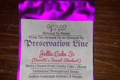 Vente: Jellie Cake S1 10-Pack - Feminized Photoperiod