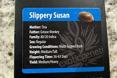 Sell: Slippery Susan by Exotic Genetix