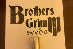 Sell: GRIMM TRUFFLES XX - BROTHERS GRIMM SEEDS - LIMITED EDITION