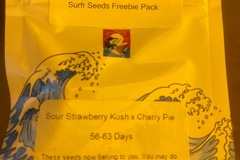Sell: SOUR STRAWBERRY KUSH X CHERRY PIE - SURFR SEEDS