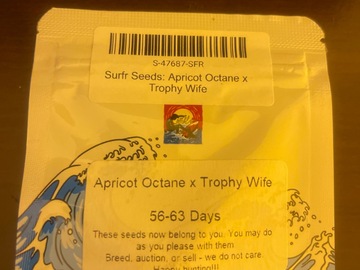 Vente: APRICOT OCTANE X TROPHY WIFE