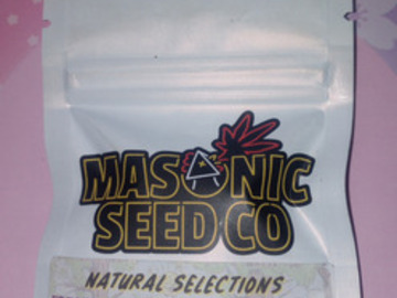 PuTang Nevil Chem (Natural Selections) - Masonic seeds