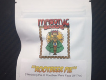 Vente: Rootbeer Pie - Masonic Seed Co.
