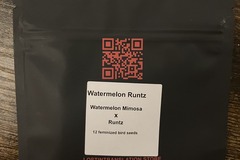 Venta: Watermelon Runtz from LIT Farms